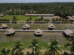 Ghé thăm nông trại Rithy Farm Trà Vinh xanh mát