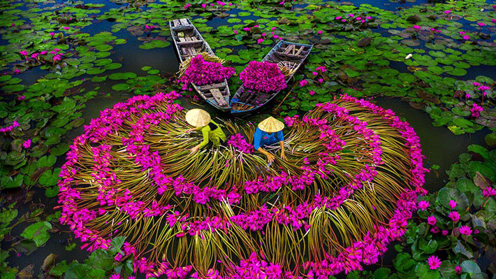 TOUR TRỌN GÓI 4N3D - HÀ NỘI – CẦN THƠ – SÓC TRĂNG – BẠC LIÊU CÀ MAU – ĐẤT MŨI – TIỀN GIANG – BẾN TRE  TÂY NINH – SÀI GÒN